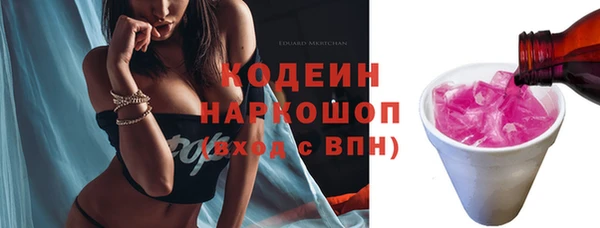 хмурый Вяземский
